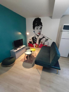Appt moderne refait à neuf